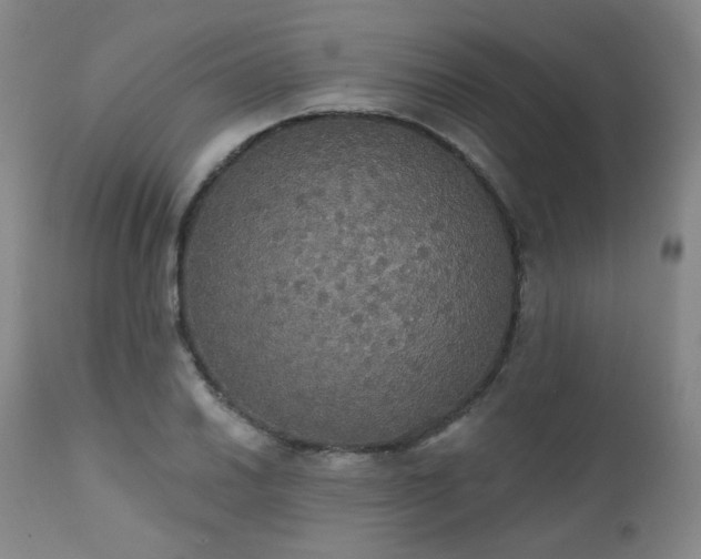 X0000111441030200907131300