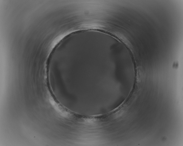 X0000111441031200907131300