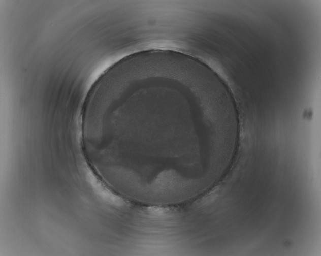 X0000111441032200907131300