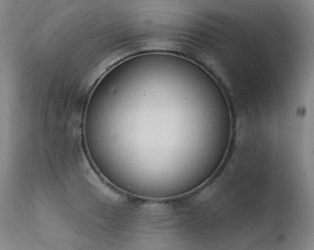 X0000111441033200907131300