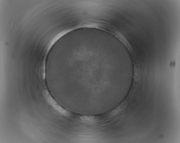 X0000111441036200907131300