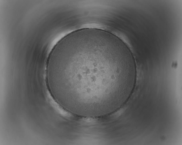 X0000111441040200907131300