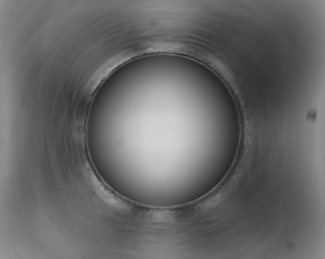 X0000111441041200907131300