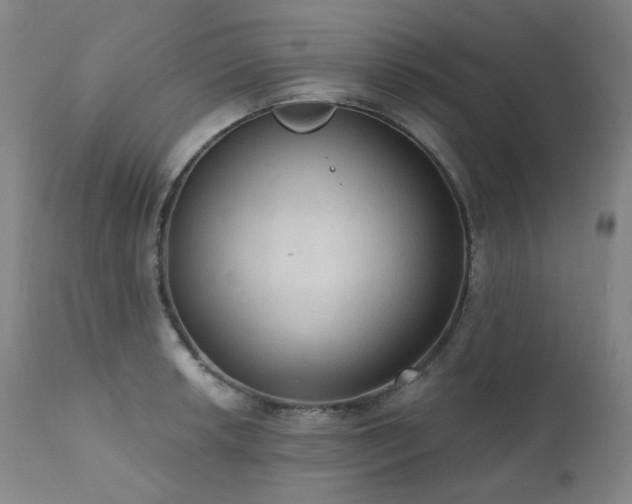 X0000111441042200907131300