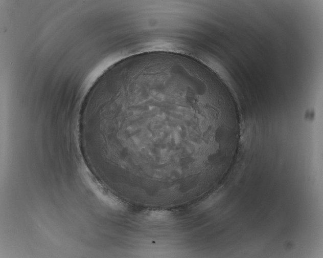 X0000111441043200907131300