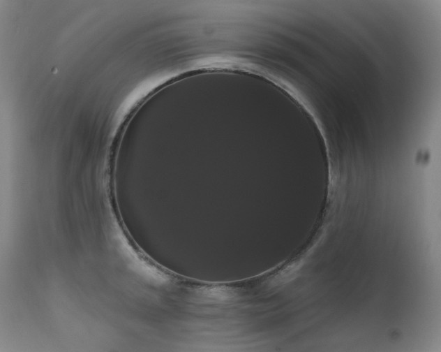 X0000111441045200907131300