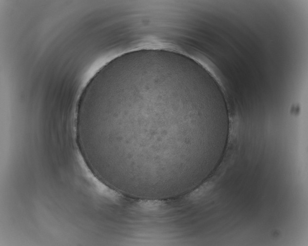 X0000111441046200907131300