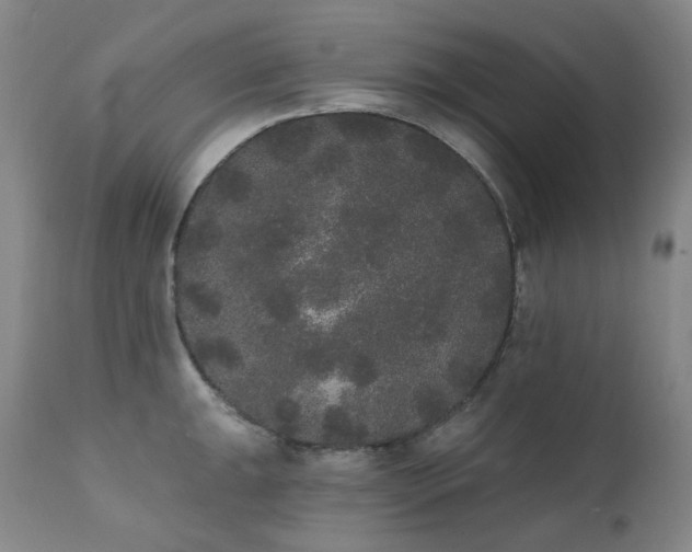 X0000111441047200907131300