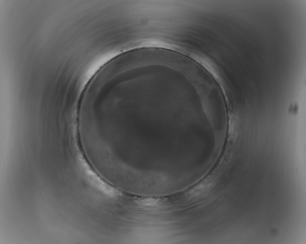 X0000111441048200907131300