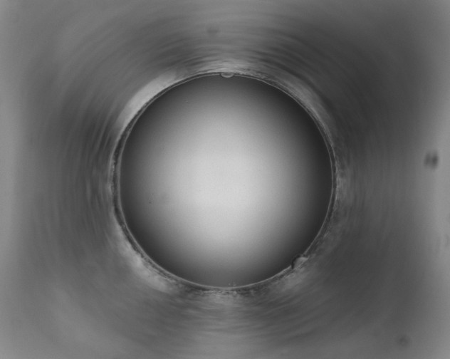 X0000111441050200907131300