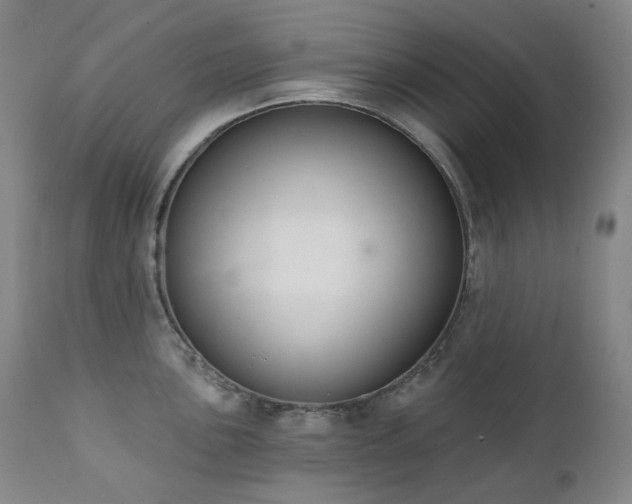 X0000111441051200907131300