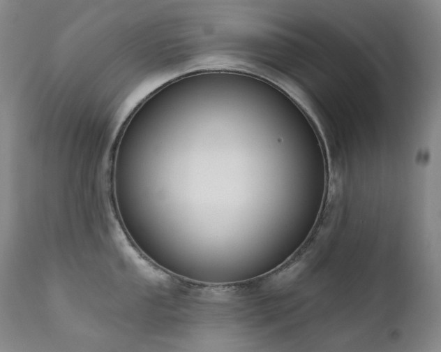X0000111441053200907131300