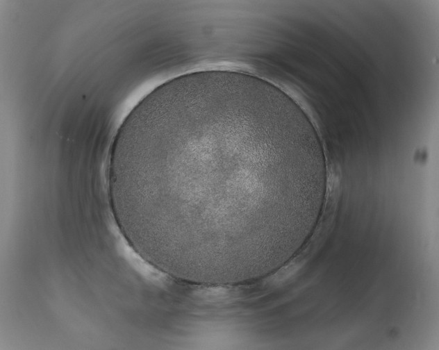 X0000111441054200907131300