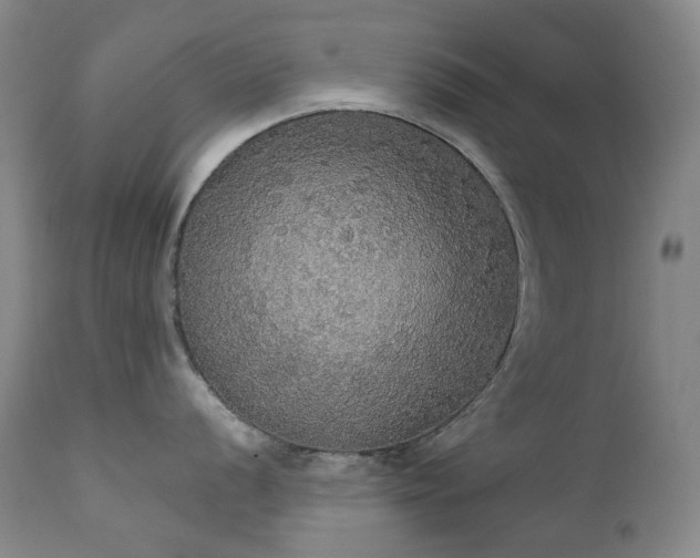 X0000111441056200907131300