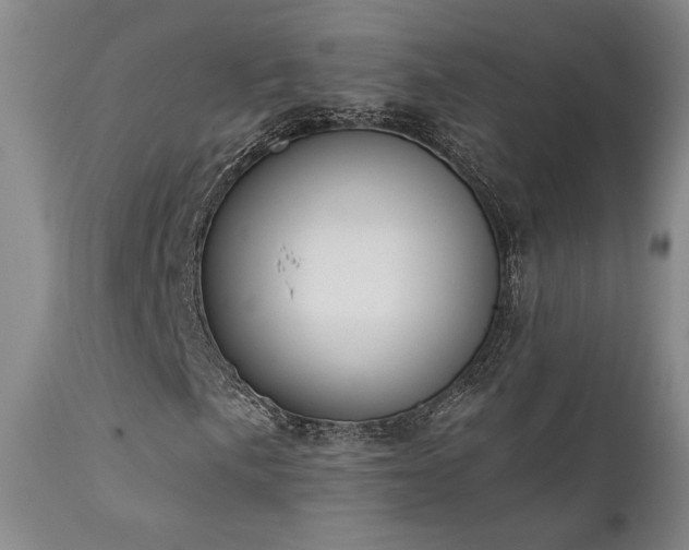 X0000111441057200907131300