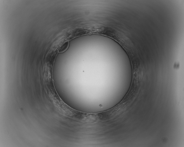 X0000111441058200907131300