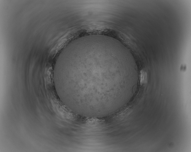 X0000111441059200907131300