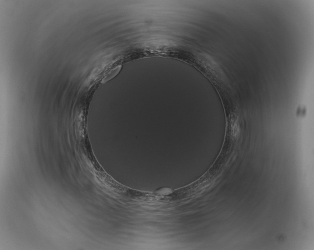 X0000111441060200907131300