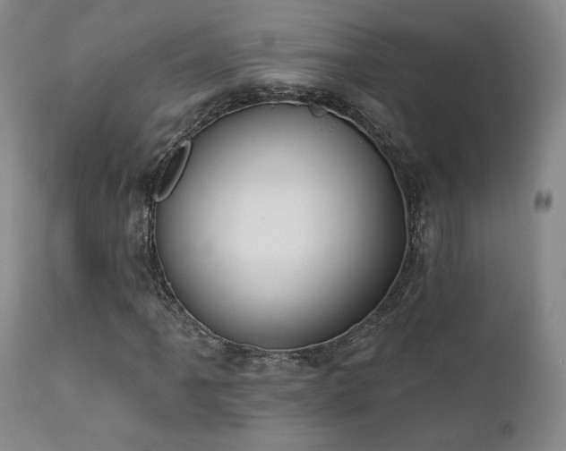 X0000111441061200907131300