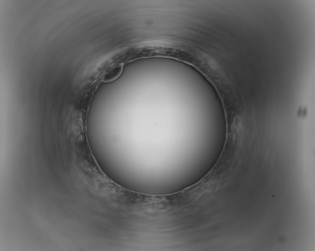 X0000111441062200907131300