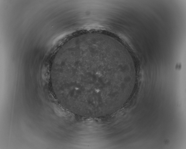 X0000111441063200907131300