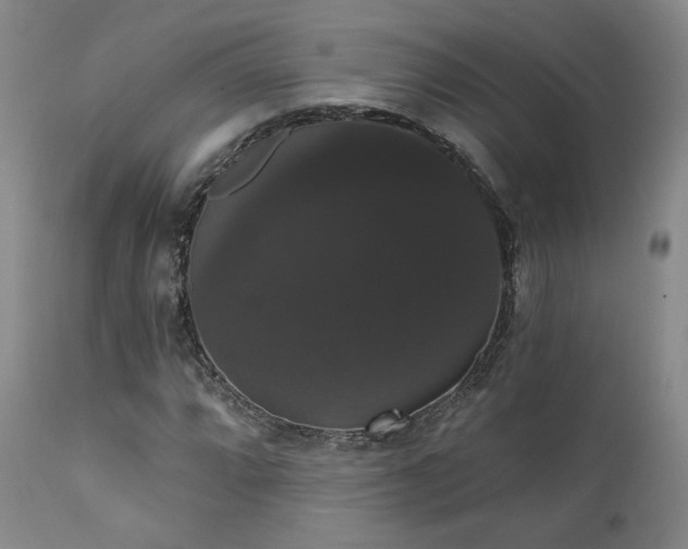 X0000111441064200907131300