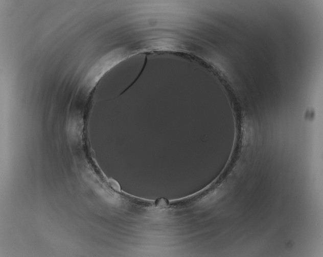 X0000111441065200907131300