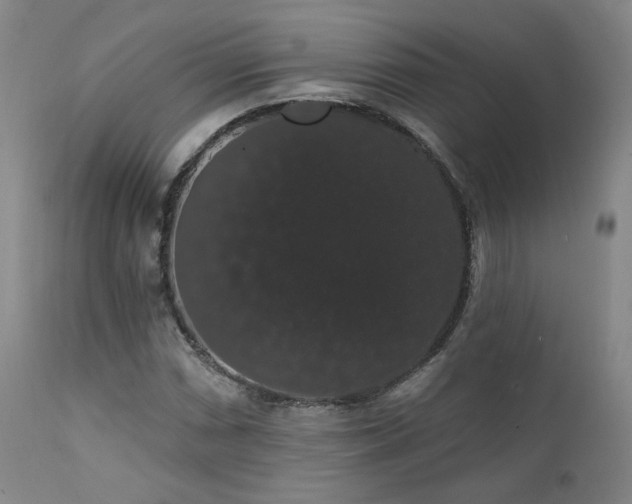 X0000111441066200907131300