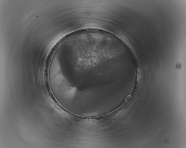 X0000111441068200907131300