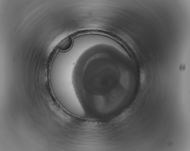 X0000111441069200907131300