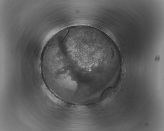 X0000111441072200907131300