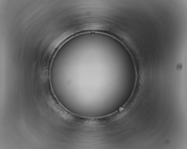 X0000111441073200907131300