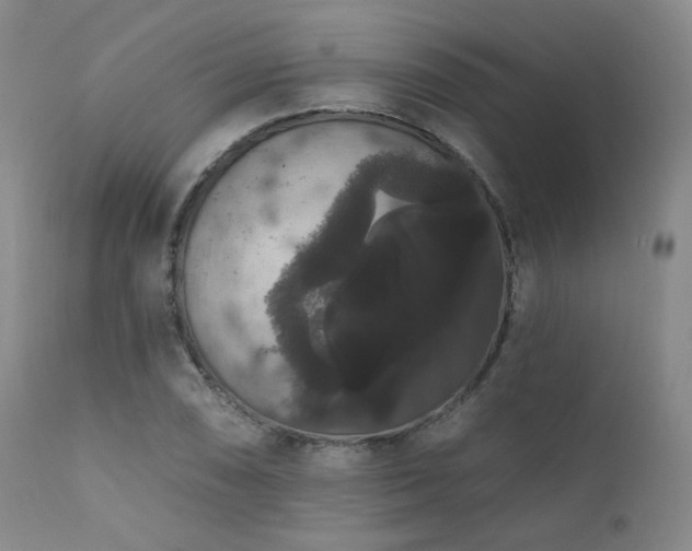 X0000111441074200907131300