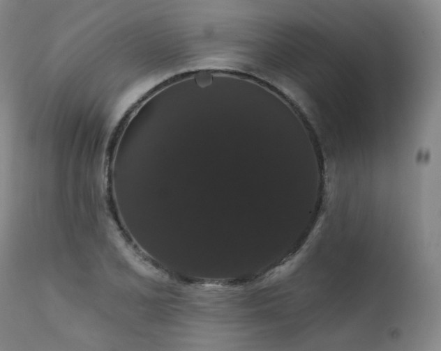 X0000111441077200907131259