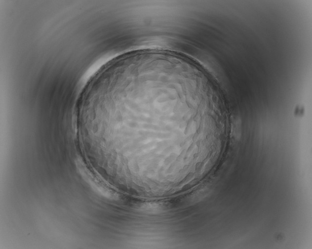X0000111441078200907131259