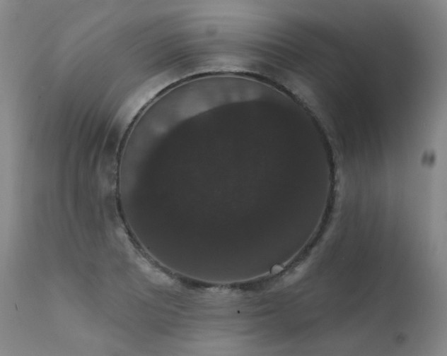 X0000111441081200907131259