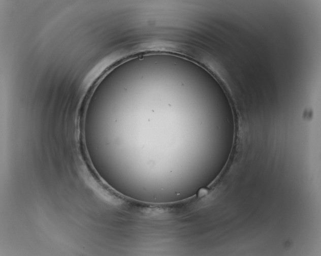 X0000111441082200907131259