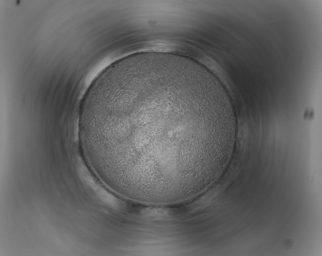 X0000111441083200907131259