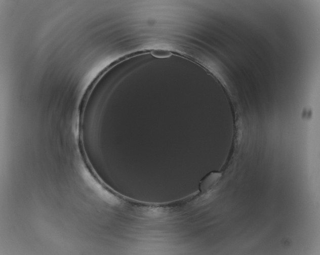X0000111441084200907131259
