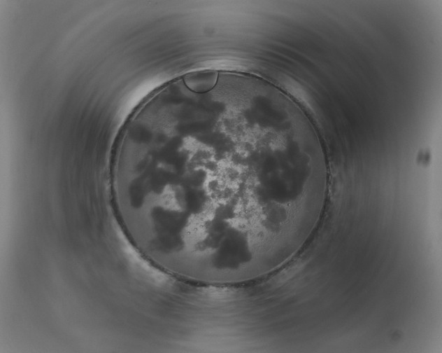 X0000111441087200907131259