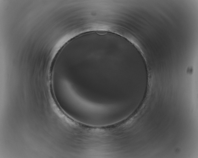 X0000111441088200907131259