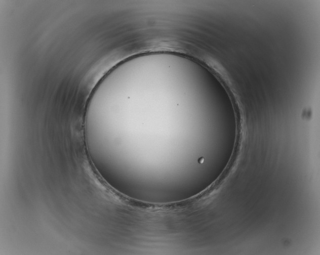 X0000111441089200907131259