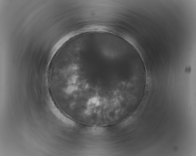 X0000111441090200907131259