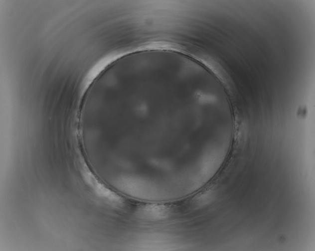 X0000111441094200907131259