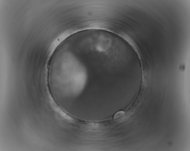 X0000111441096200907131259