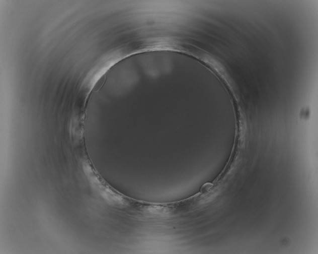 X0000111441097200907131259