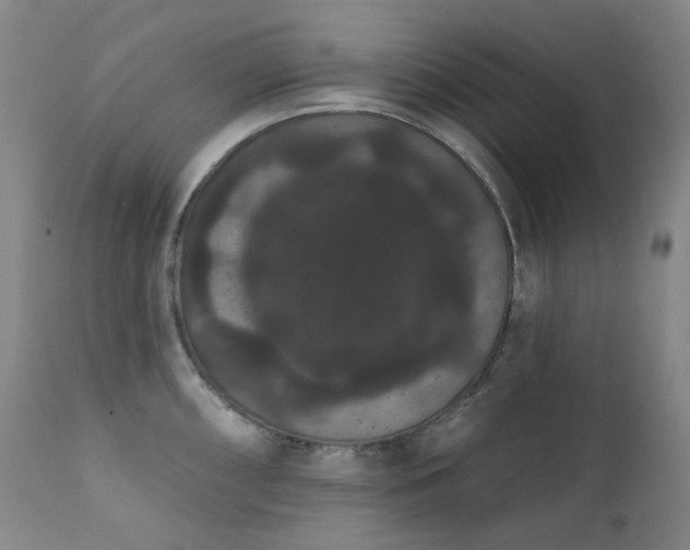 X0000111441098200907131259