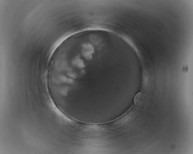 X0000111441100200907131259