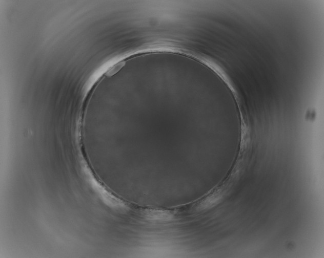X0000111441101200907131259
