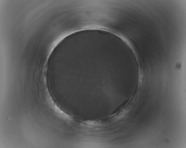 X0000111441102200907131259